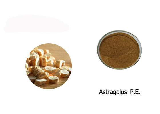 चीन 100% Astragalus निकालने पाउडर आपूर्तिकर्ता