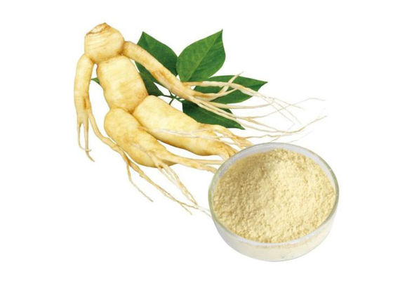 कैस 90045-38-8 80% Ginsenosides शुद्ध हर्बल जिनसेंग रूट पाउडर आपूर्तिकर्ता