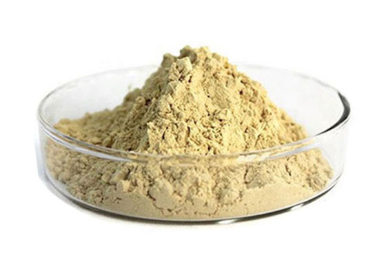 कैस 90045-38-8 80% Ginsenosides शुद्ध हर्बल जिनसेंग रूट पाउडर आपूर्तिकर्ता