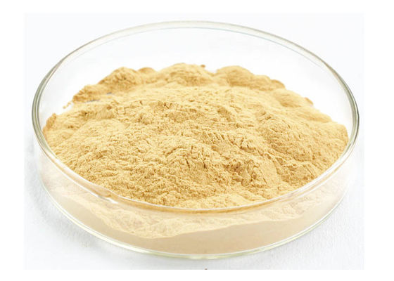 स्वास्थ्य देखभाल इम्यून रूट जिनसेंग निकालने पाउडर में सुधार आपूर्तिकर्ता