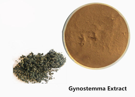 खाद्य ग्रेड विरोधी ट्यूमर हर्बल Gynostemma निकालने पाउडर आपूर्तिकर्ता