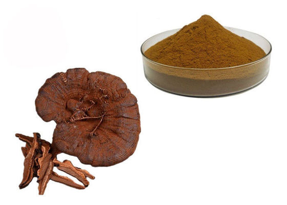 50% शुद्धता गण्डर्मा लुसीडुम रीशी मशरूम अर्क पाउडर आपूर्तिकर्ता