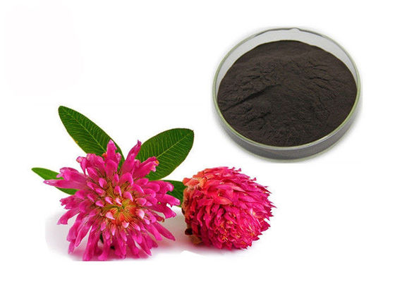 शुद्धता 2.5% 8% 20% 40% इसोफ्लेवोन्स रेड क्लोवर एक्सट्रैक्ट पाउडर आपूर्तिकर्ता