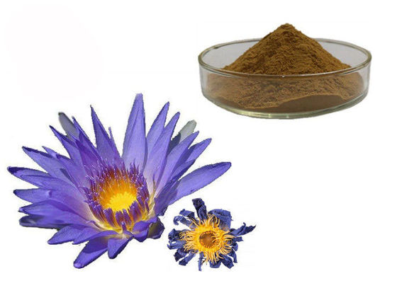 Nymphaea Caerulea फूल पाउडर ब्लू लोटस कार्बनिक हर्बल अर्क आपूर्तिकर्ता