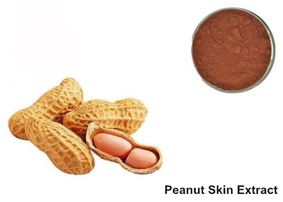 95% Proanthocyanidins मूंगफली त्वचा एंथोसायनिन निकालने पाउडर आपूर्तिकर्ता