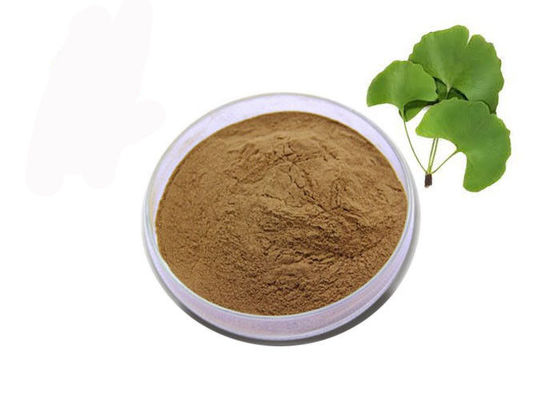 खाद्य ग्रेड पौष्टिक ब्राउन जिन्कगो बिलोबा पत्ता निकालने पाउडर आपूर्तिकर्ता