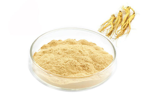 खाद्य ग्रेड Panaxoside Ginseng निकालने पाउडर स्वास्थ्य उत्पादों के लिए आपूर्तिकर्ता