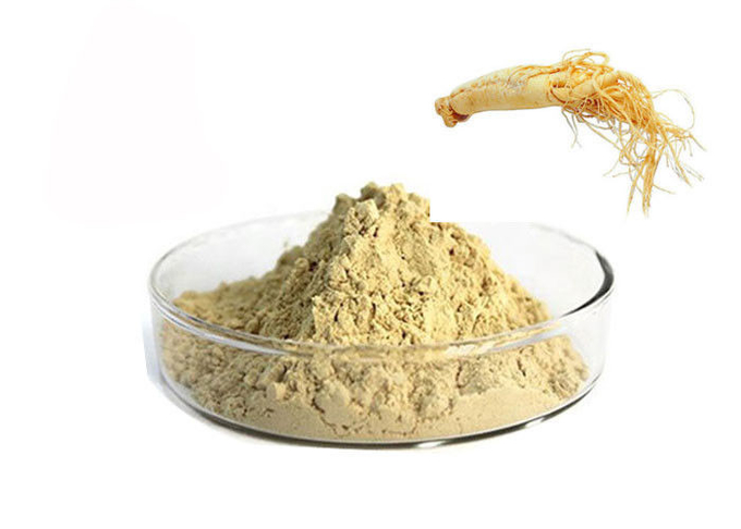 कैस 90045-38-8 80% Ginsenosides शुद्ध हर्बल जिनसेंग रूट पाउडर 0