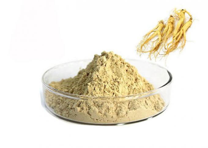 फार्मास्युटिकल 80% Panax Root Natural Ginseng Extract Powder 0