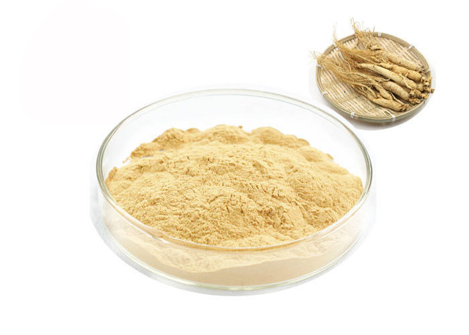 ऑर्गेनिक साइबेरियन रूट 30% 80% Ginsenosides शुद्ध Ginseng एक्सट्रैक्ट 0